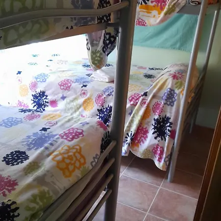 Renta De Cama En Compartida *